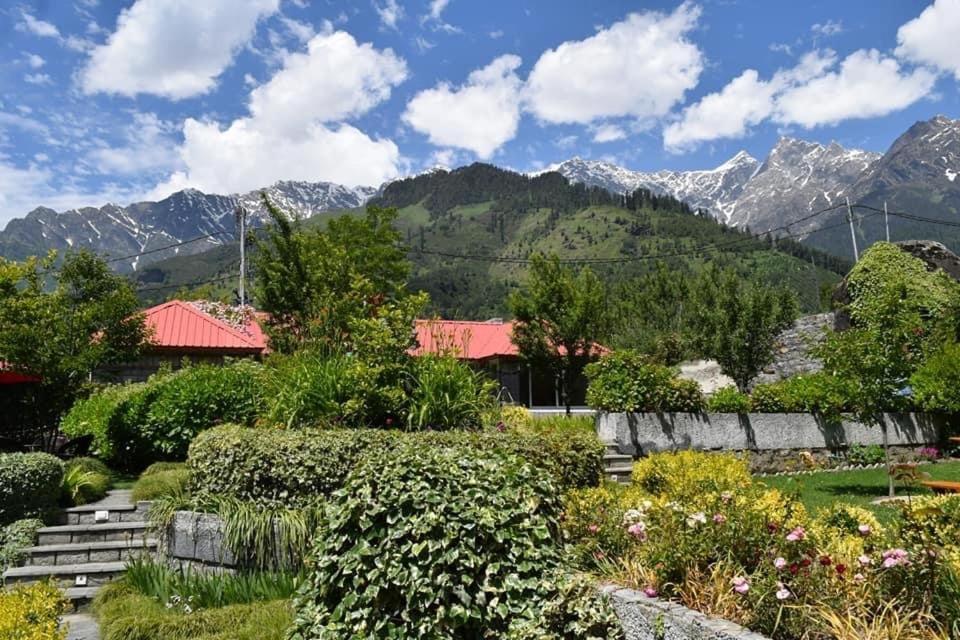 The Amrit Manali 2&3 Bhk Villas Zewnętrze zdjęcie